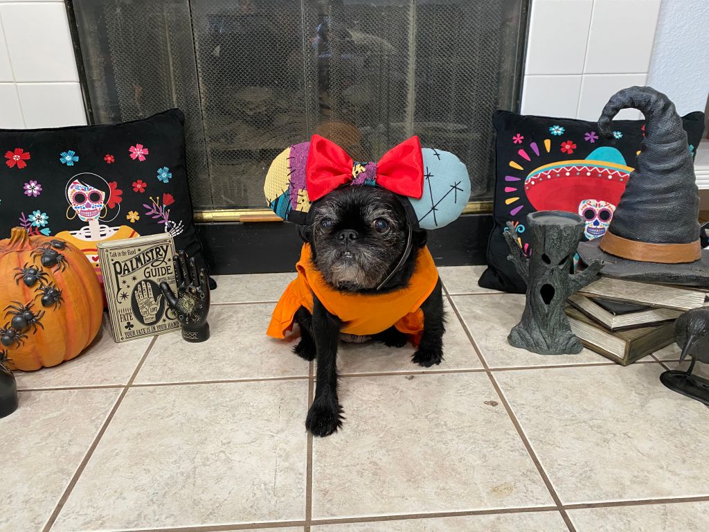 stagnation & flashbacks: month seven, eight & nine