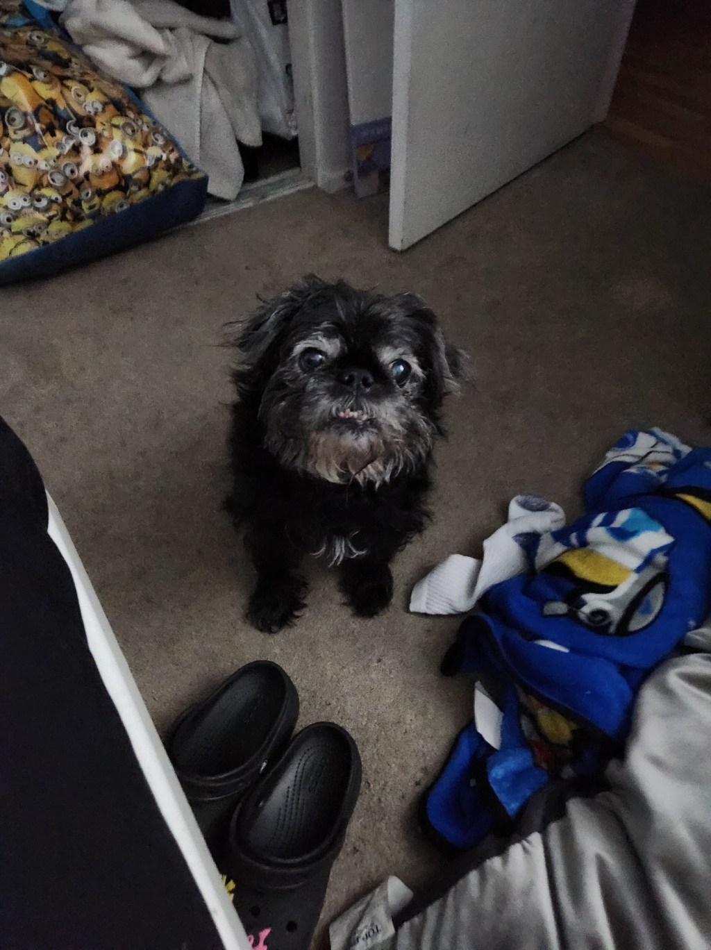 month ten: dépaysement