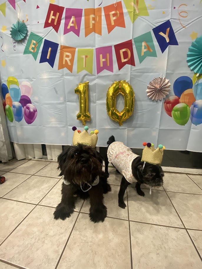 more life: on mending & the grief of being, possibility, and&nbsp;existence